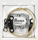 Ibanez IACS6C Muta di corde per chitarra acustica Light 012-053