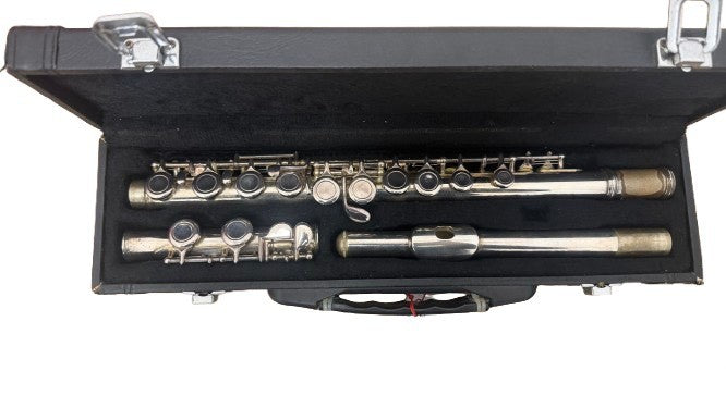 Zen Music Flauto Traverso USATO