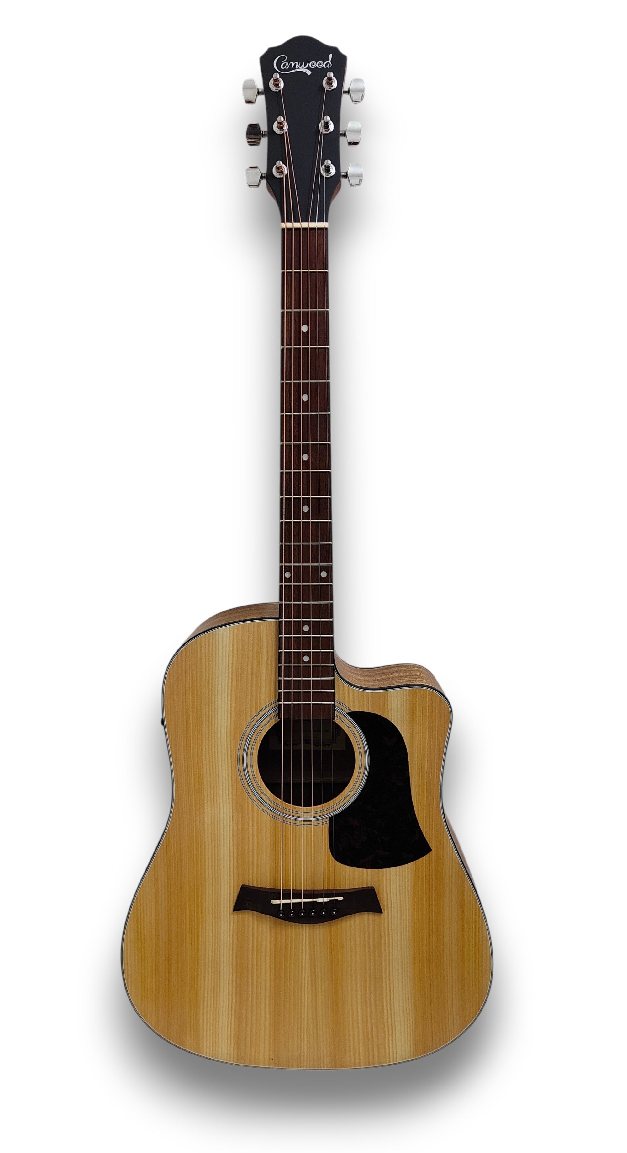 Camwood IW-240 MNS CWE Acustica Elettrificata