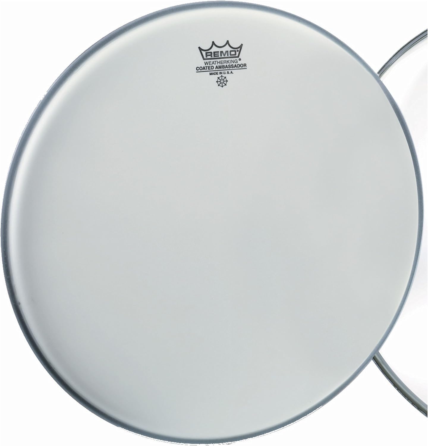 Remo pelle Ambassador Coated 20"