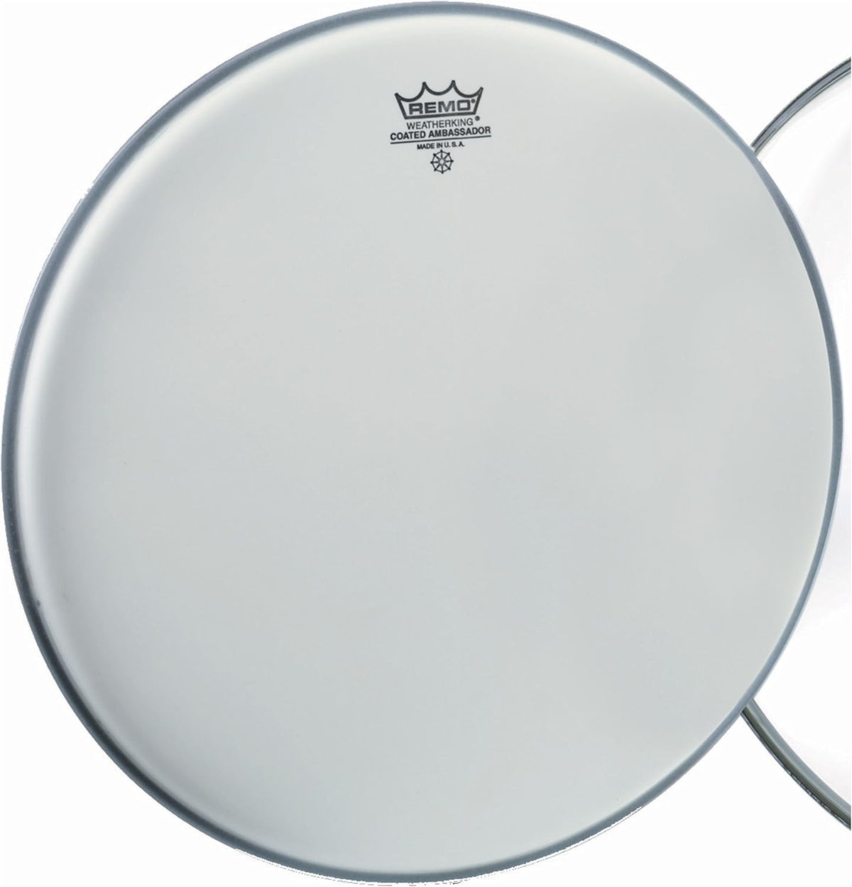 Remo pelle Ambassador Coated 20"