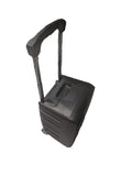 USATO PROEL V10FREE LT Cassa attiva Portatile Trolley + Microfoni