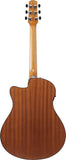 Ibanez AAM54CEOPN Open Pore Natural Chitarra Acustica
