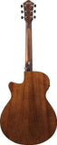 Ibanez AEG61 Chitarra acustica elettrificata Naturale