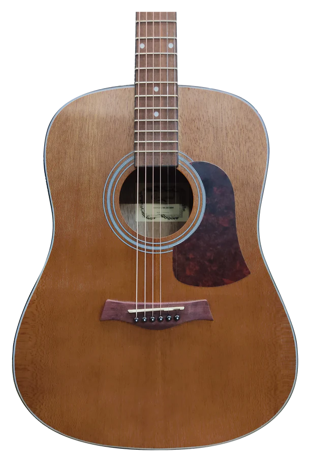 Chitarra acustica da studio Camwood IW-240 MNS, 41", realizzata in pino himalayano e palissandro indonesiano