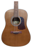 Chitarra acustica da studio Camwood IW-240 MNS, 41", realizzata in pino himalayano e palissandro indonesiano