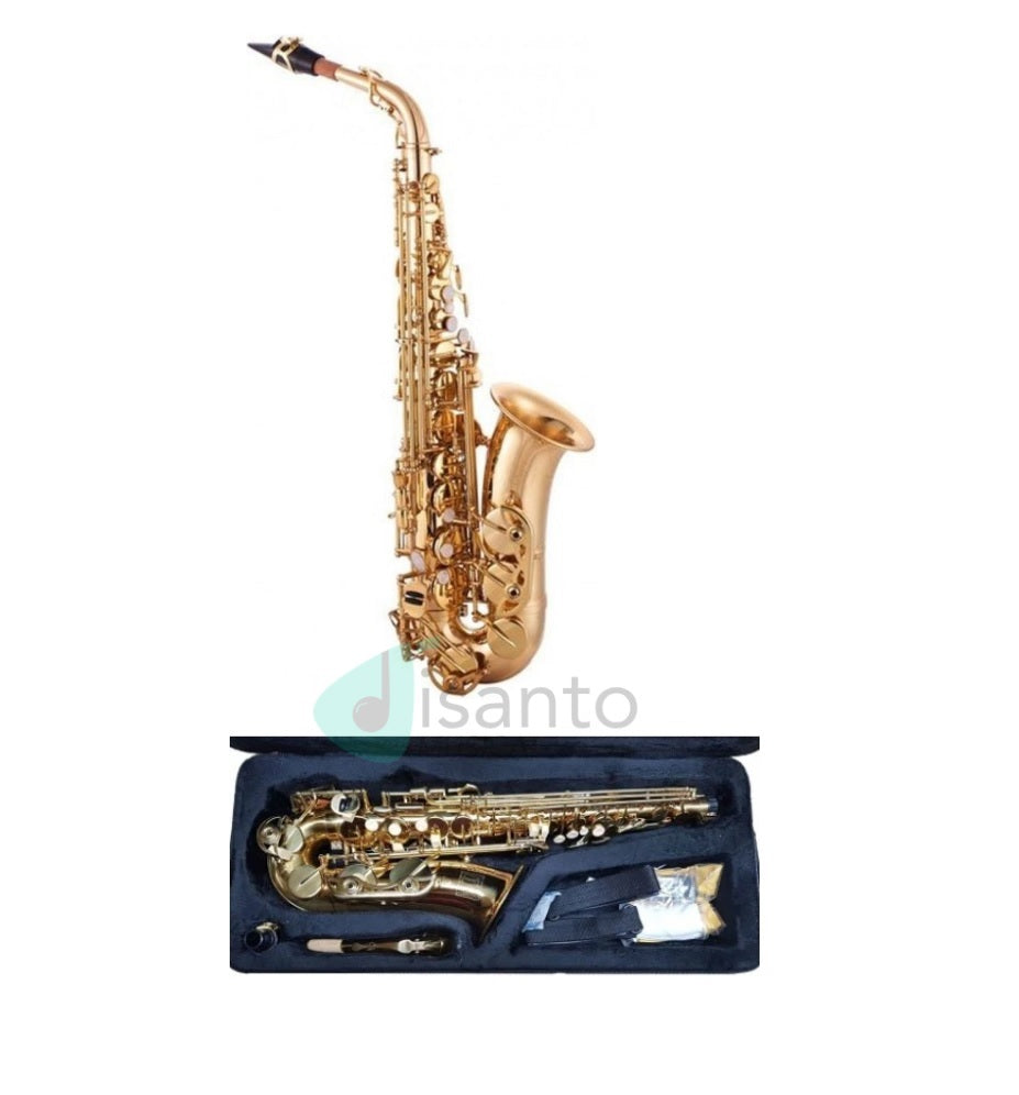 DESIR Sax contralto laccato oro con astuccio