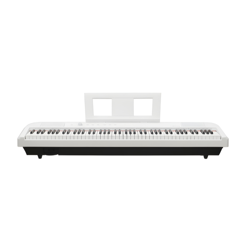 Pianoforte digitale ECHORD DP-1W, 88 tasti pesati, 8 timbri, 128 stili, 31 demo, effetti e registrazione interna