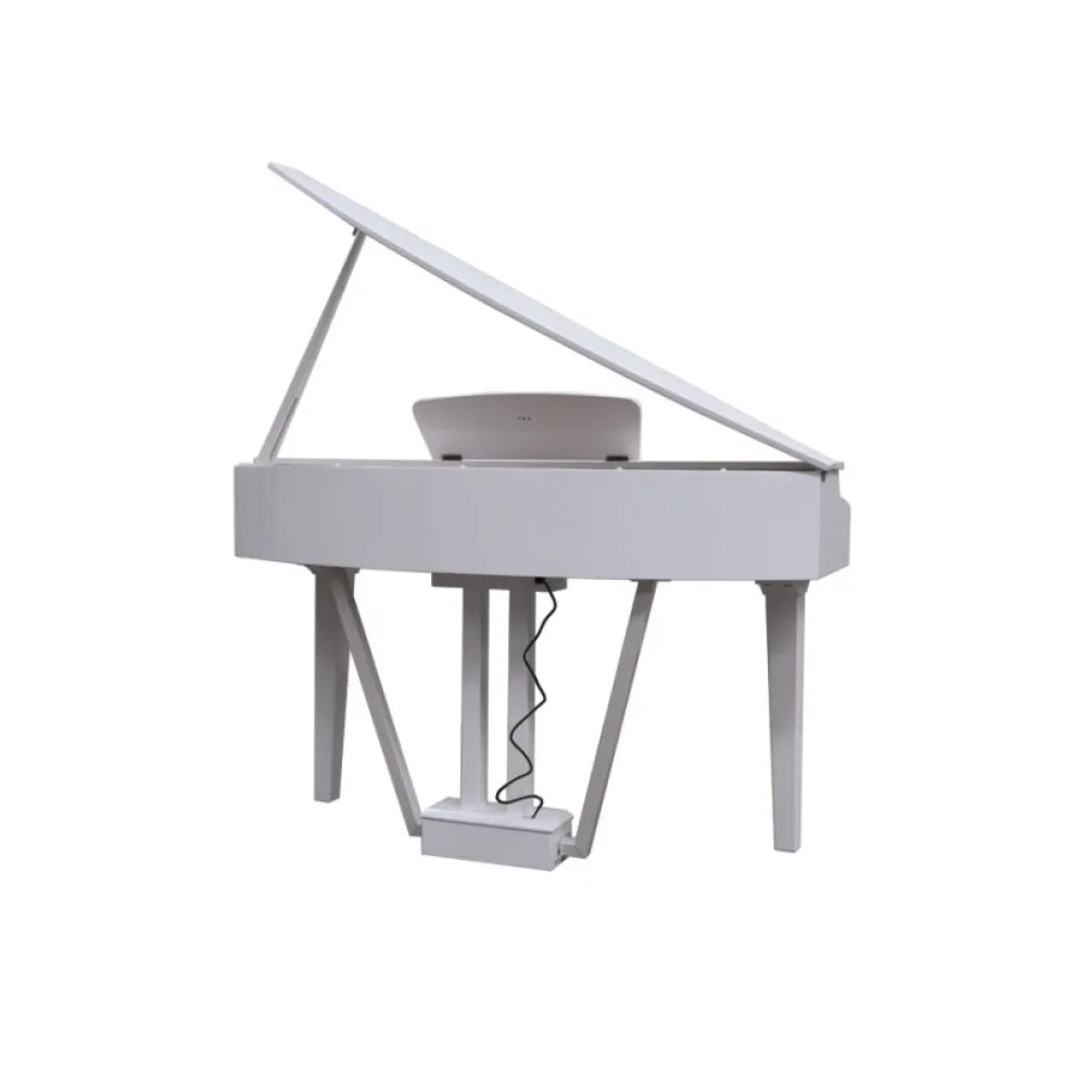 Echord GP10, pianoforte digitale elegante con 88 tasti pesati, 20 suoni e connettività versatile per performance musicali