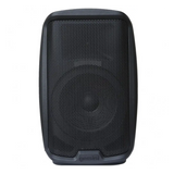 Diffusore amplificato Gemini AS2112 BT, 250W RMS, woofer da 12", tweeter da 1", ingressi XLR e RCA, equalizzatore a due bande