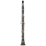 Clarinetto in Sib 17 chiavi Boehm, corpo in ABS, finitura nichel, astuccio in foam, ideale per studenti principianti