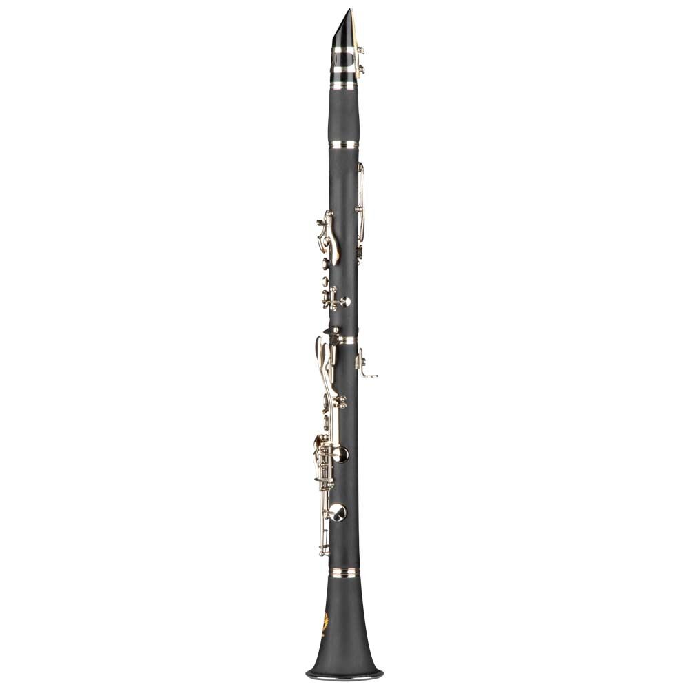 Clarinetto in Sib con 17 chiavi Boehm, corpo in ABS, finitura nichel, astuccio in foam, strumento per studenti principianti