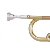 KIT Grassi TR20SK TROMBA IN SIB kit con accordatore, letturino, grasso e panno. Campana 123 mm, finitura in ottone laccato