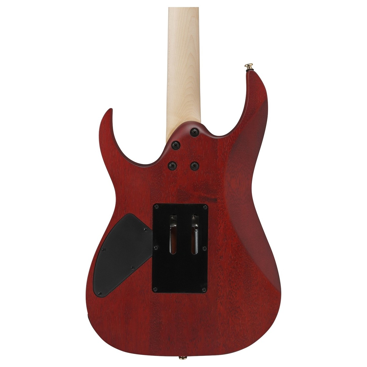 Chitarra elettrica Ibanez RGR420FMSP-TGF, corpo in meranti, top in acero fiammato, finitura satinata grigia trasparente