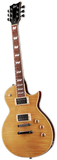 ESP LTD EC 256VN Vintage Natural Chitarra elettrica