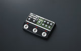 Roland RE-202 Space Echo pedale delay per chitarra e basso