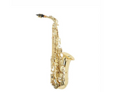 W. Stern WSSA30 Sax contralto laccato oro con astuccio