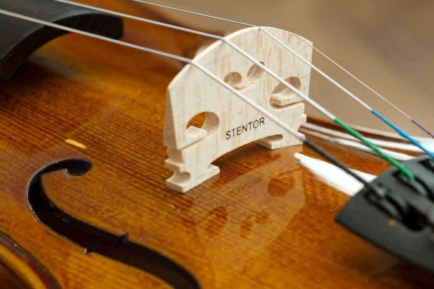 Violino Stentor Student I 3/4, strumento in legno massello con ponticello europeo, completo di custodia sagomata e archetto