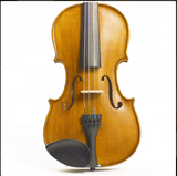 Violino Stentor Student II 4/4 con astuccio e archetto, realizzato in legno massello, ideale per studenti e insegnanti