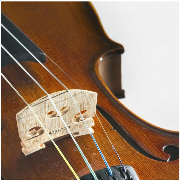 Violino Stentor Student II 4/4, completo di astuccio e archetto, con legni stagionati e finiture di alta qualità per studenti
