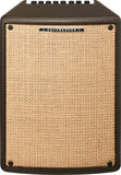 Ibanez T80II Amplificatore Combo per chitarra acustica 80W
