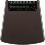 Ibanez T80II Amplificatore Combo per chitarra acustica 80W