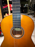 Valencia VC204 Chitarra Classica Usata