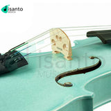Stentor Harlequin Violino Verde 4/4 con astuccio ed archetto