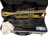 W. stern tromba laccata SIb con astuccio